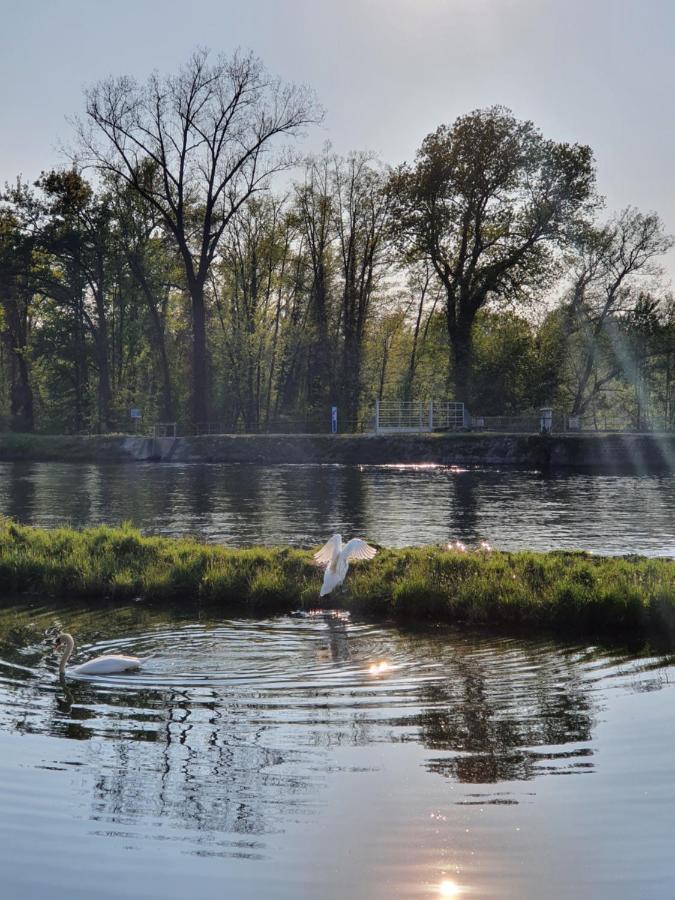 Panperduto Vandrarhem Somma Lombardo Exteriör bild